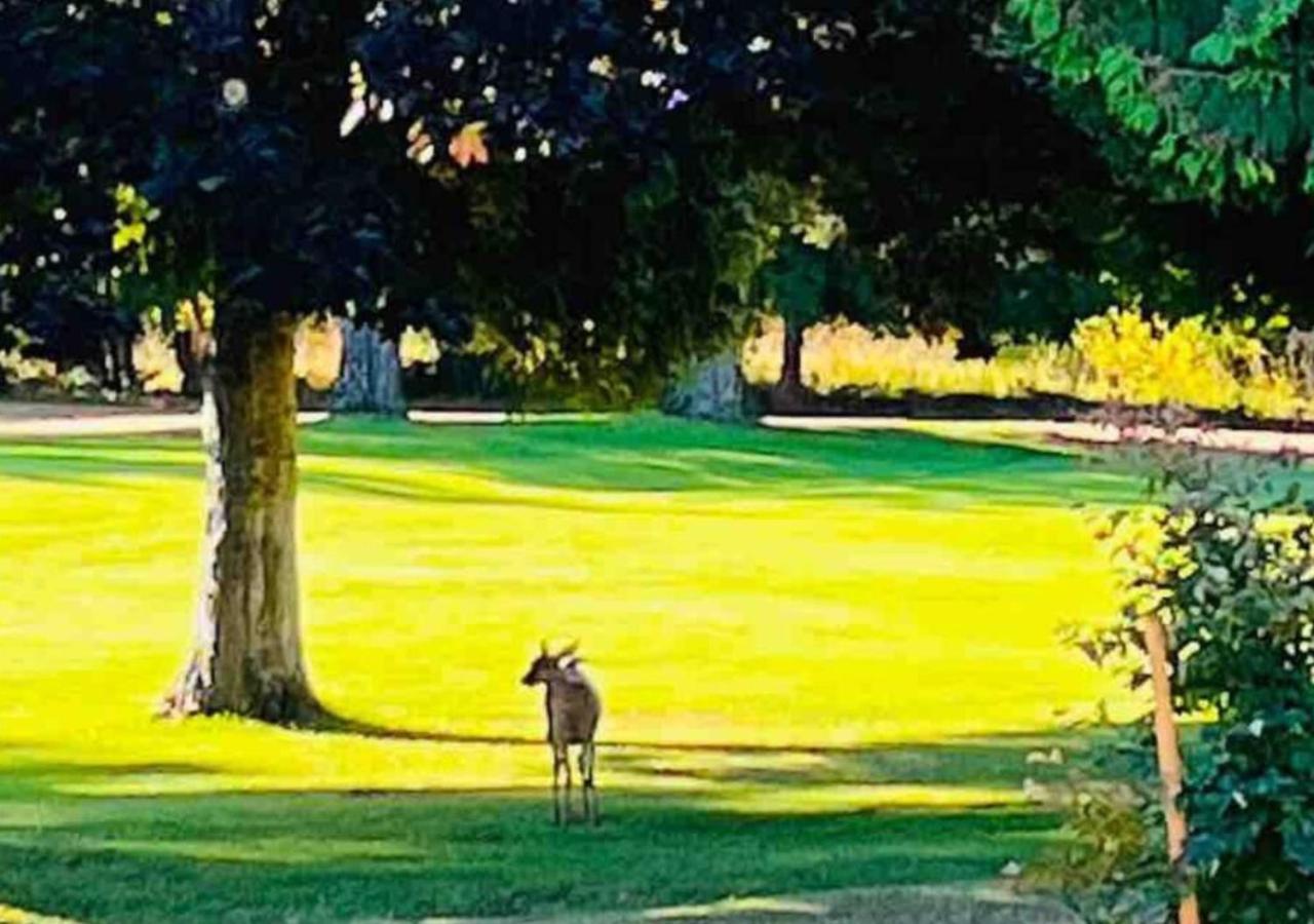 Oceanside Manor - Golf Course View Bed and Breakfast Qualicum Beach Εξωτερικό φωτογραφία
