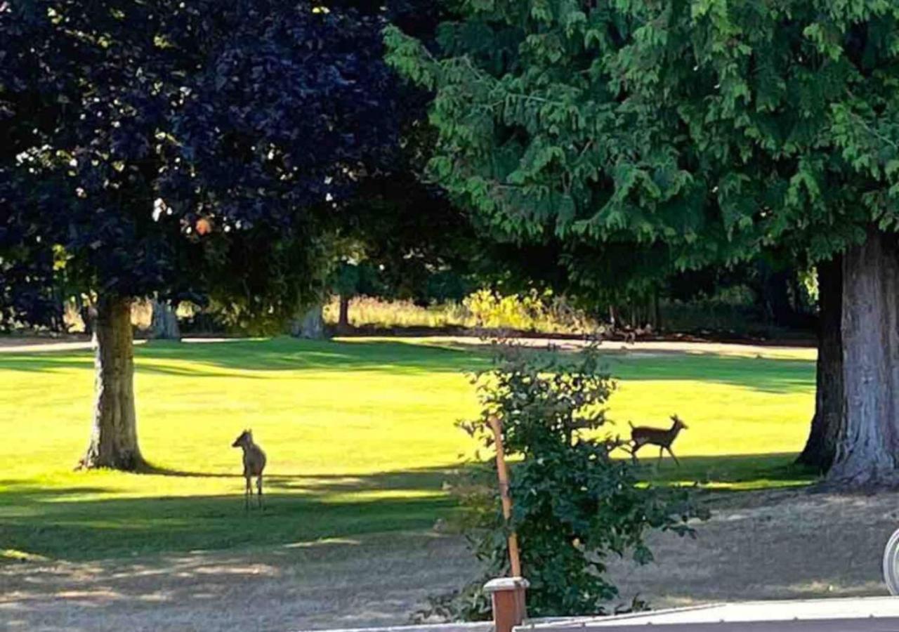 Oceanside Manor - Golf Course View Bed and Breakfast Qualicum Beach Εξωτερικό φωτογραφία